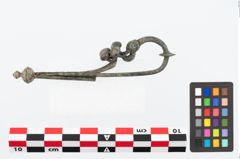 Foto von Bronzeschlangenfibel (NHMW-PRAE-026557)